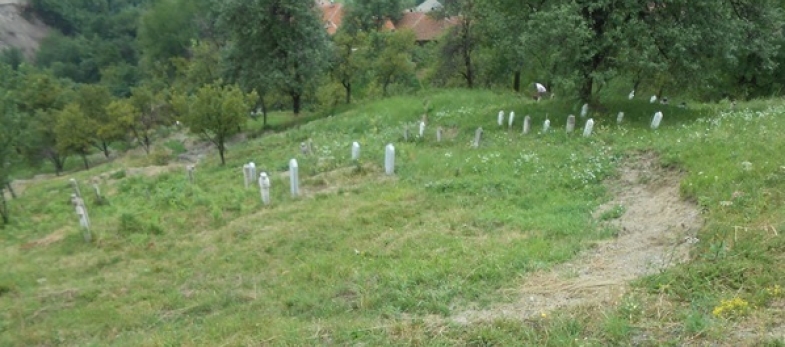 Slika 86